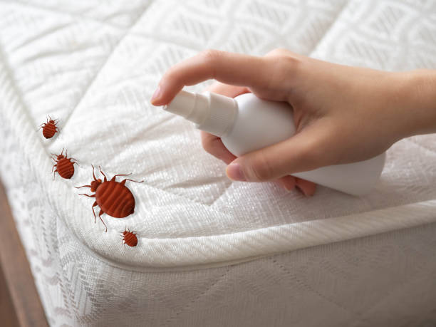 Best Pest Control for Multi-Family Homes  in Cedaredge, CO